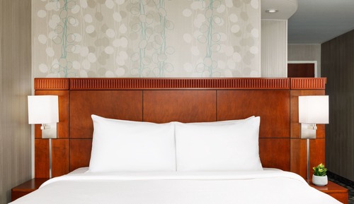 Room, 1 King Bed (Hearing Accessible)