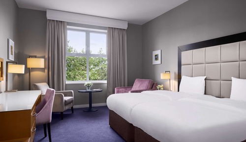 Standard Room, Mountain View