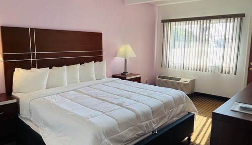 Handicap Basic Single Room 1 King