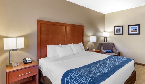 Room, 1 King Bed, Accessible, Non Smoking
