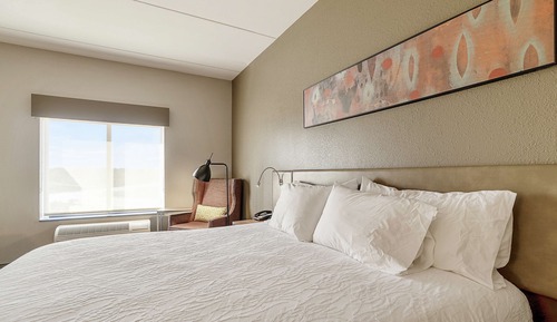 Room, 1 King Bed (Drinks & Snacks)