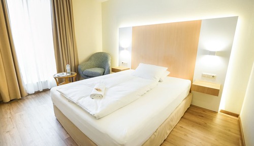 Superior Single Room, 1 Queen Bed