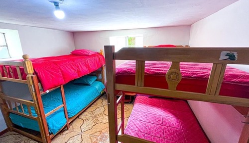 Basic Shared Dormitory