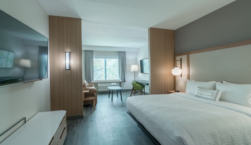 Suite, 1 King Bed with Sofa bed, Non Smoking (Mobility/Hearing Access, Roll-In Shwr)