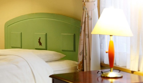 Slow House Villa Peter Rabbit Type(Check-in at Log House Reception)
