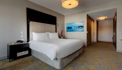 Room, 1 King Bed, Lake View