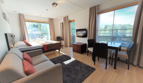 Studio C29, mountain view, 2 adults+2 children