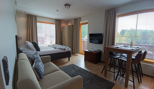 Studio C34 - Mountain view, Sauna (2 Adults + 2 Children)
