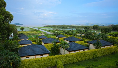 Junior Suite, Garden View