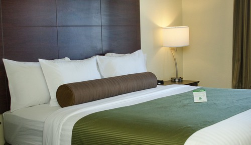 Room, 1 King Bed, Non Smoking (Guestroom)