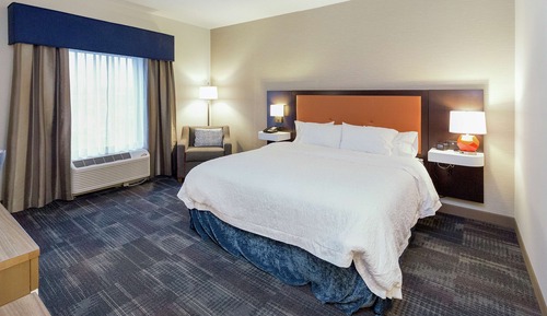 Room, 1 King Bed, Accessible, Non Smoking (Rollin Shower)