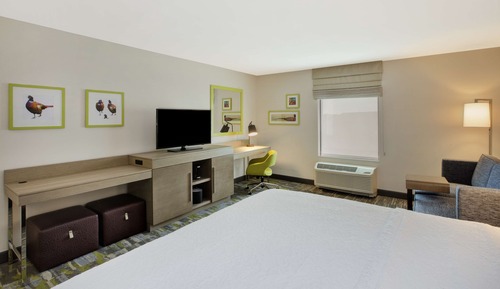Room, 1 King Bed, Non Smoking, Refrigerator & Microwave