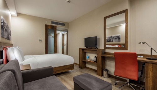 Room, 1 Queen Bed with Sofa bed, View