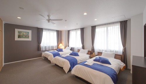 Deluxe Apartment (202)