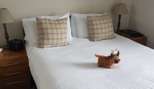 Double Room (Small)