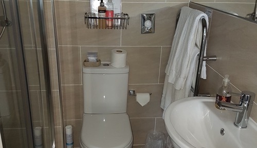 Standard Room (King)