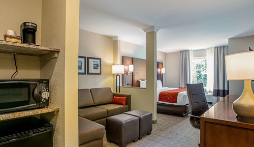 Suite, 1 King Bed, Non Smoking