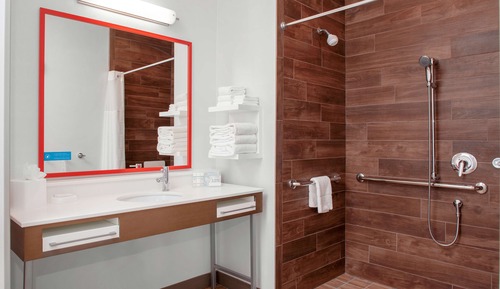 Studio, 1 King Bed, Accessible (Roll-In Shower)