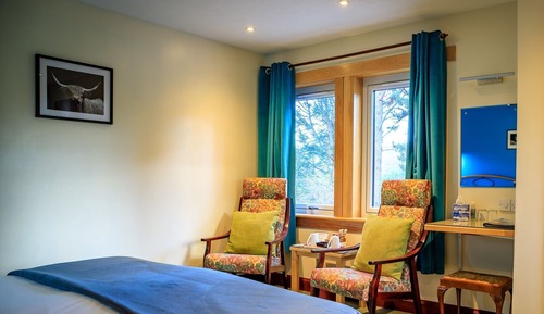 Double Room, Accessible, Ensuite (Pine Marten)