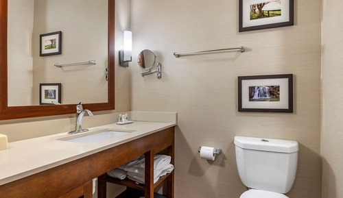 Suite, 1 King Bed, Non Smoking