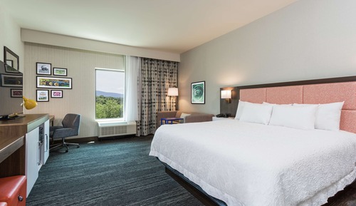 Room, 1 King Bed with Sofa bed, Refrigerator & Microwave