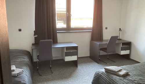 Deluxe Apartment