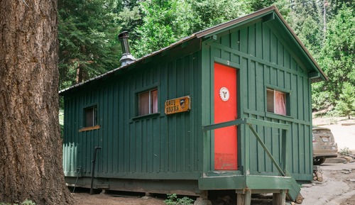 Cozy Pines