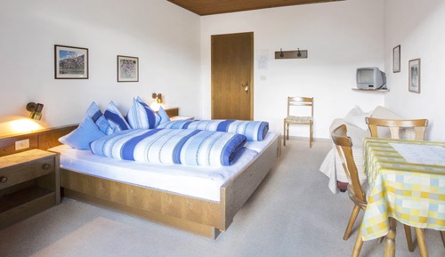 Double or Twin Room