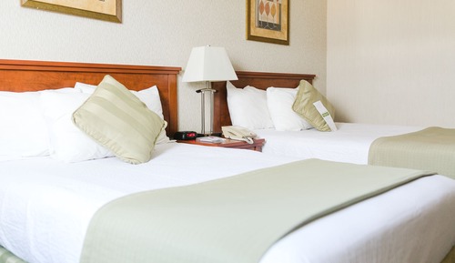 Standard Room, 2 Double Beds