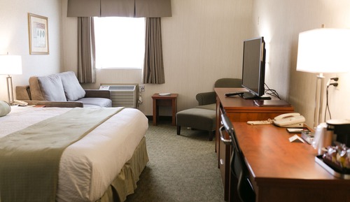 Standard Room, 1 King Bed with Sofa bed