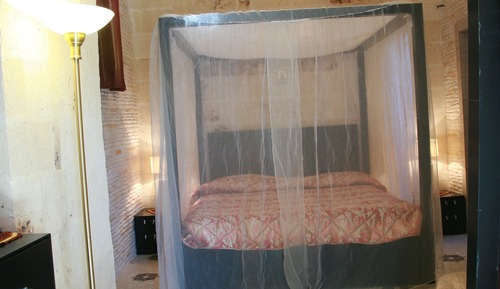 Junior Suite, Garden View