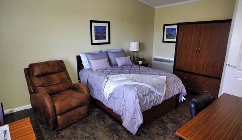 Deluxe Hotel Studio, Kitchen 
