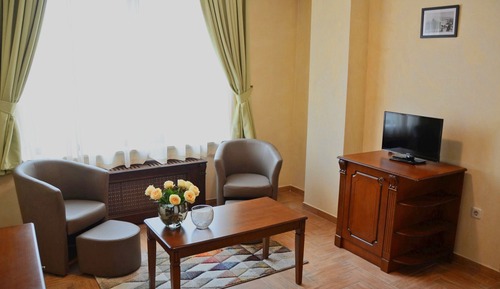 Classic Studio, 1 King Bed, Accessible, Mountain View