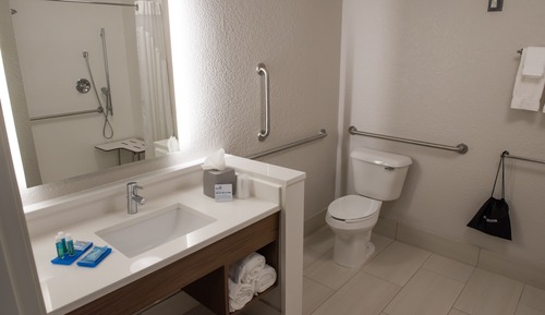 Standard Room, 1 King Bed, Accessible (Mobility, Accessible Tub)
