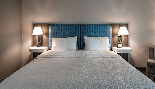 Room, 1 King Bed, Accessible, Bathtub (Mobility & Hearing)