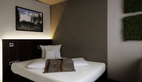 Business Double Room Single Use