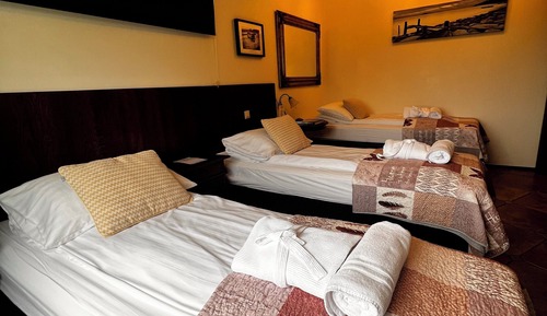 Standard Triple Room, Private Bathroom