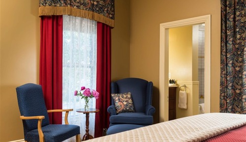 Room, 1 King Bed