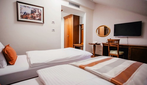 Classic Twin Room
