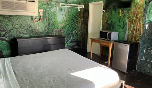 Jungle Room with Jetted Tub