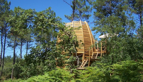 Tree House