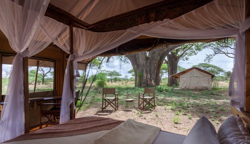 Standard Tent