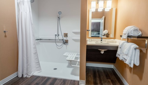 Studio, 1 King Bed with Sofa bed, Non Smoking (Mobility Accessible, Roll-In Shower)