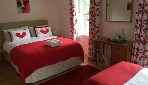 Superior Double or Twin Room