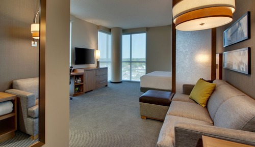 Room, 1 King Bed (Specialty)