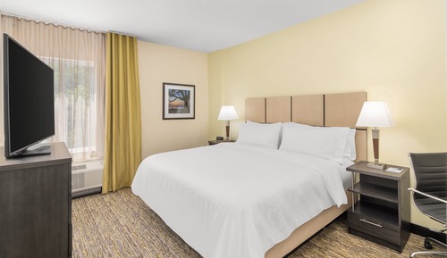 Suite, 1 King Bed
