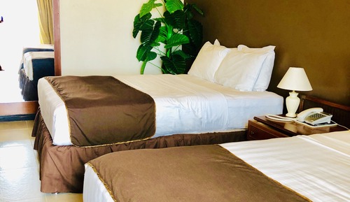 Premium Room, Mountain View