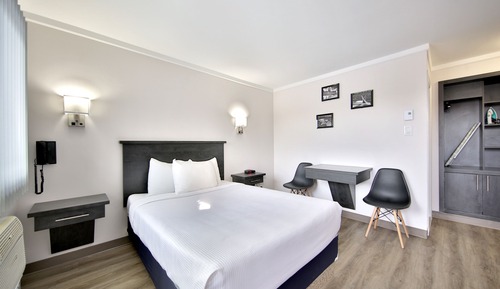 One Queen Bed