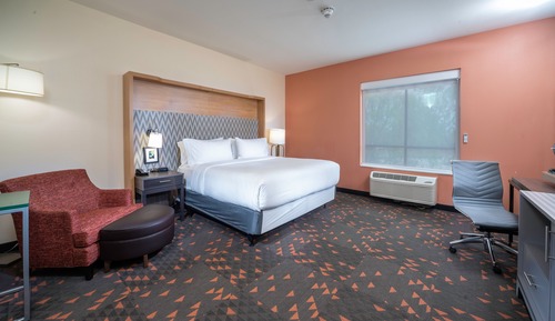 Standard Room, 1 King Bed, Mobility Accessible (Mobility Roll-In Shower)