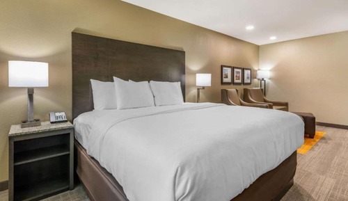 Standard Room, 1 King Bed, Accessible, Refrigerator & Microwave (Refrigerator & Microwave)